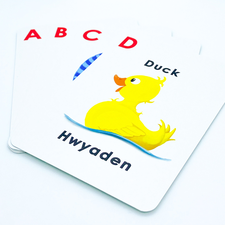 English to Welsh language cards