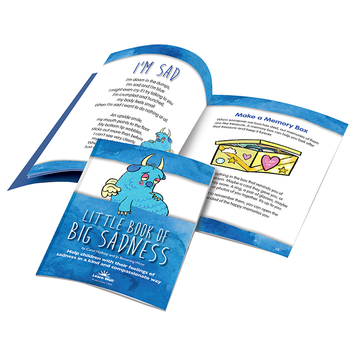 Little Book of Big Sadness