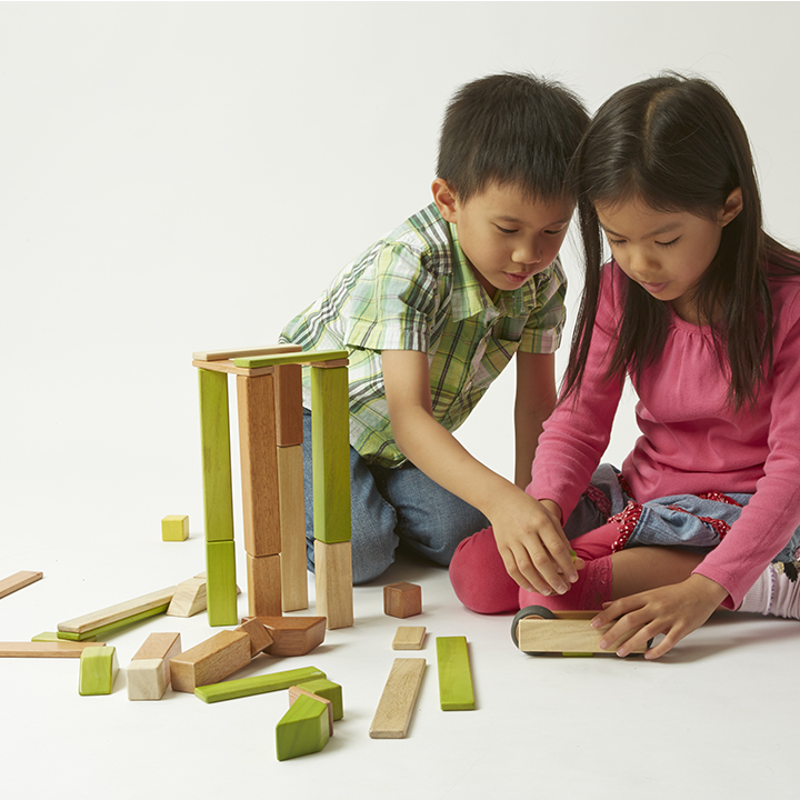 tegu classroom set
