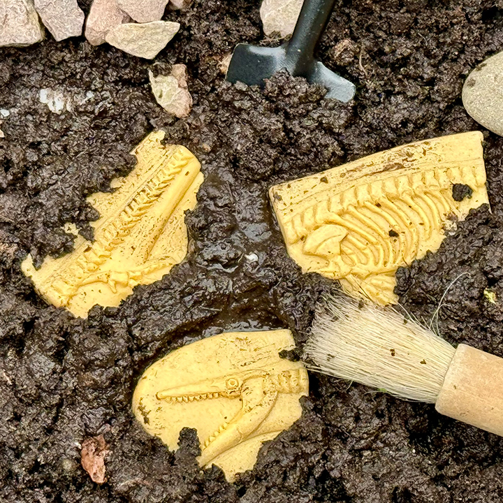 Dinosaur puzzle in soil