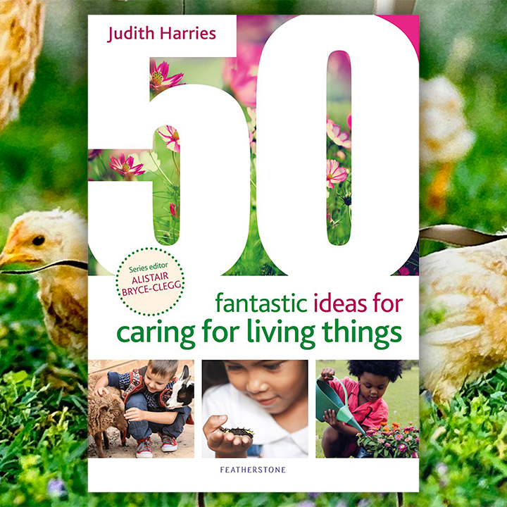 Ideas book - caring for creatures