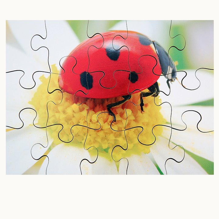 Ladybird Puzzle