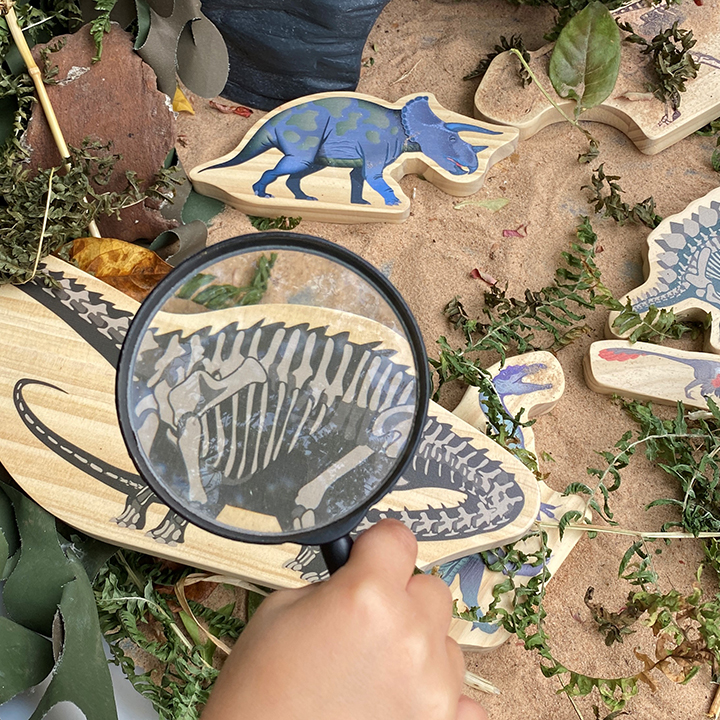 Eight wooden dinosaur shapes to investigate