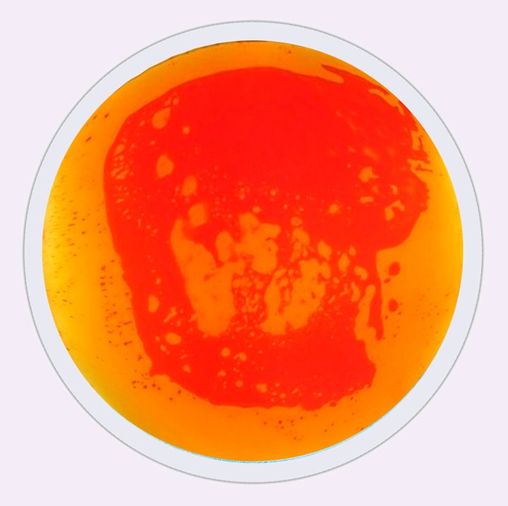 Orange circular liquid floor tile