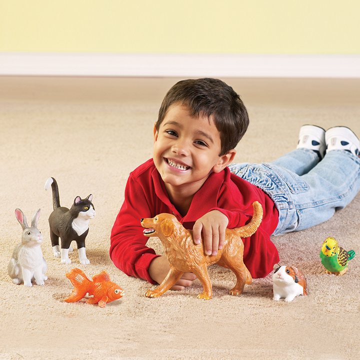 Jumbo Pets Early Years Direct