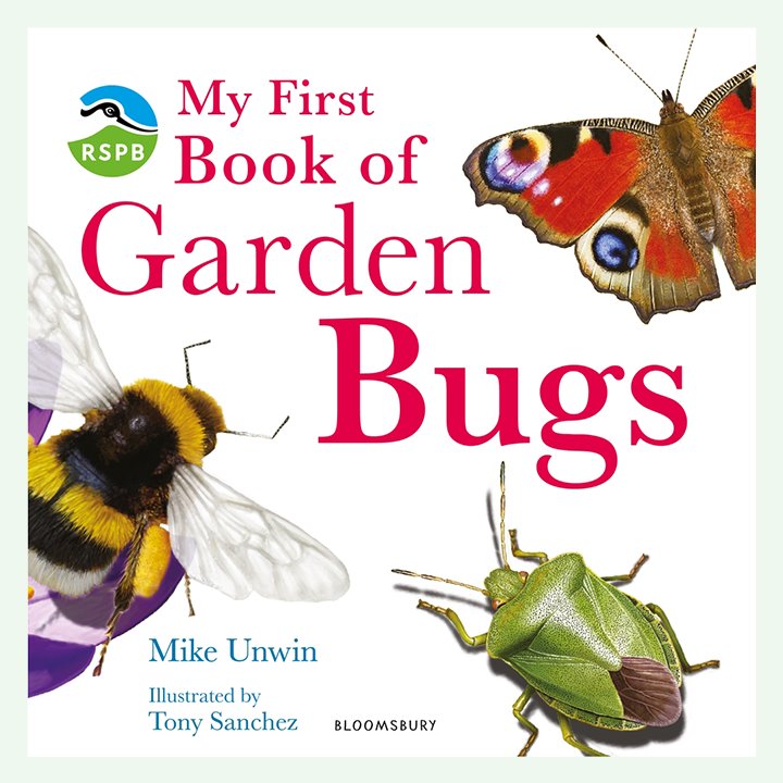 First Insects Book My First Garden Bugs, Birds and Wildlife Books - Early Years Direct