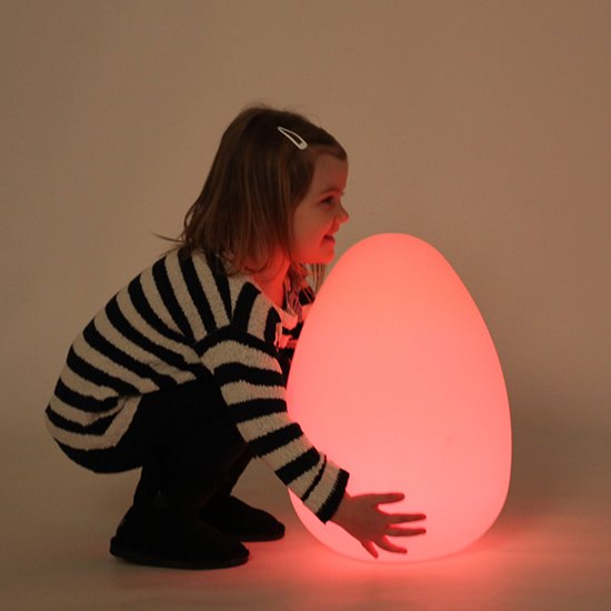 Egg shaped mood light