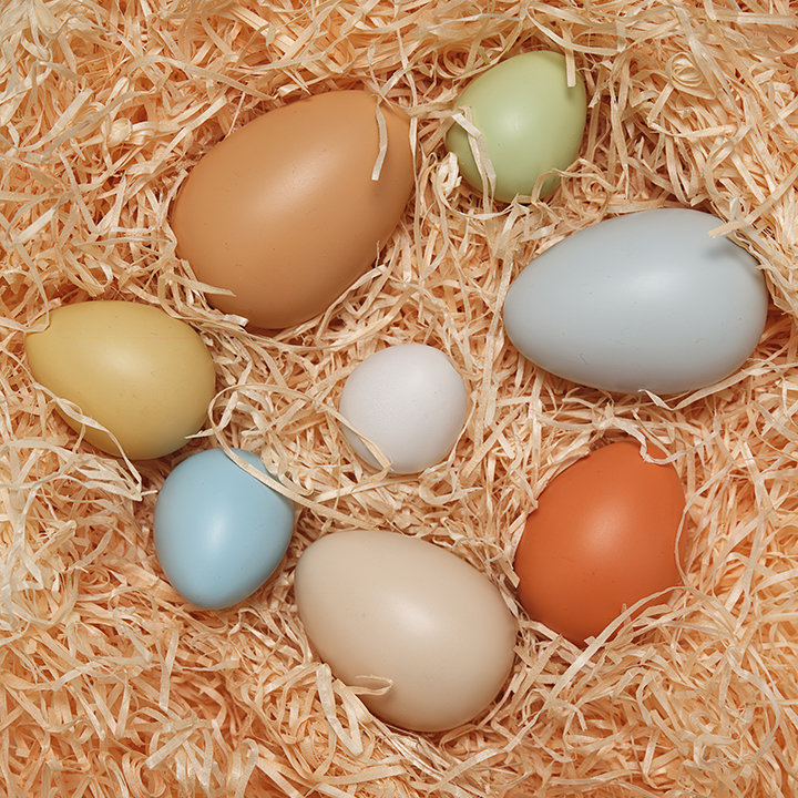 develop comparison and sorting skills