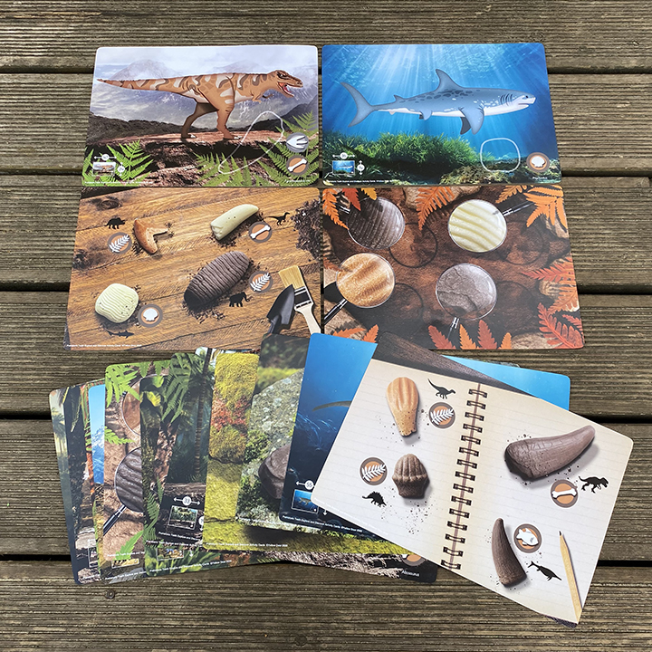 Activity Cards to go with dinosaur teeth