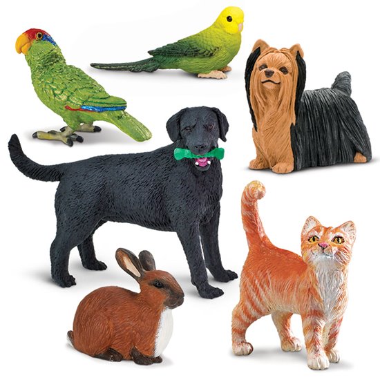 Tabby Cat, Black Labrador, Rabbit, Yorkshire Terrier, Budgie and Parrot