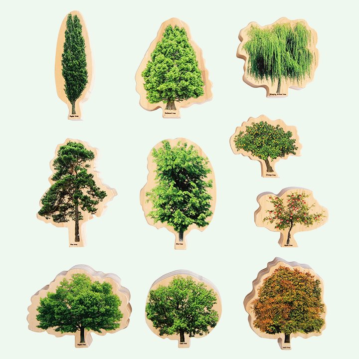 Set of 10 double sided trees