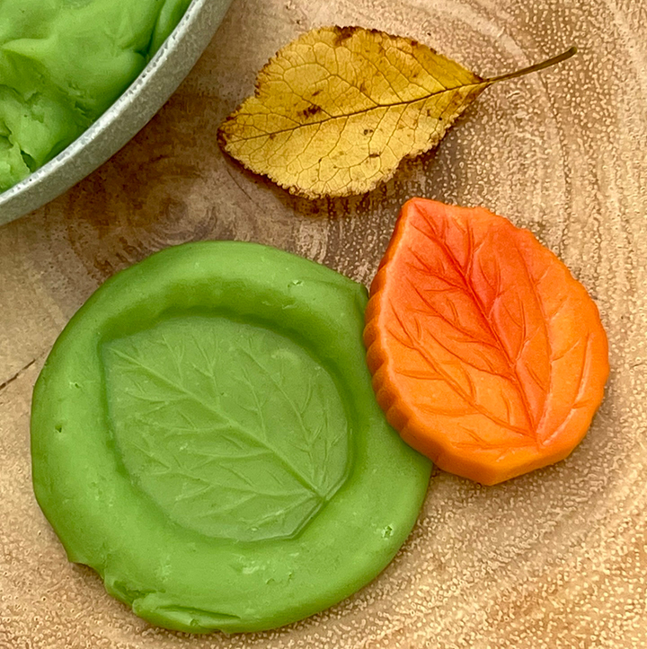 Stone leaf impression