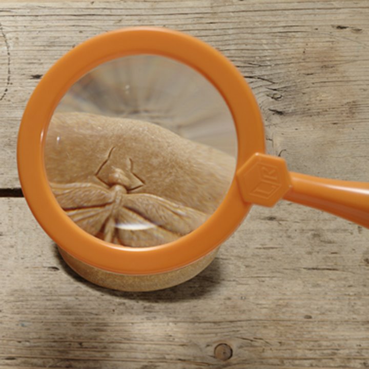 Magnifying glass zooming into stone