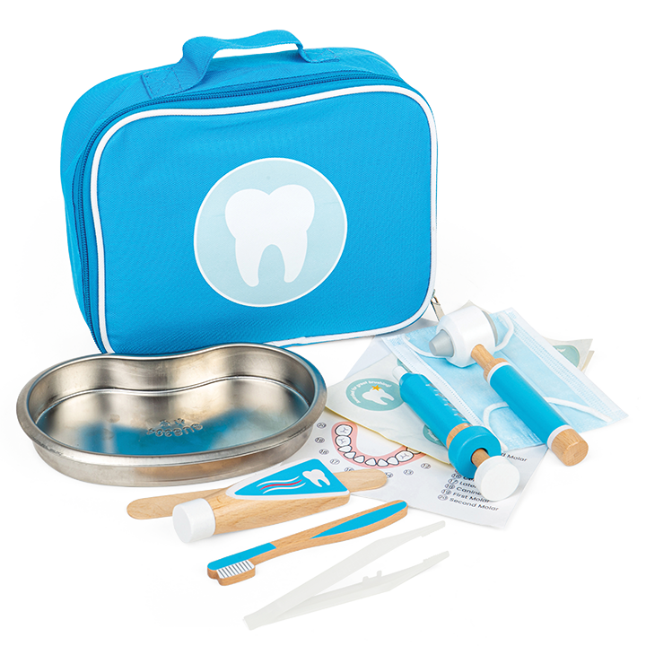 12 piece dental role play set