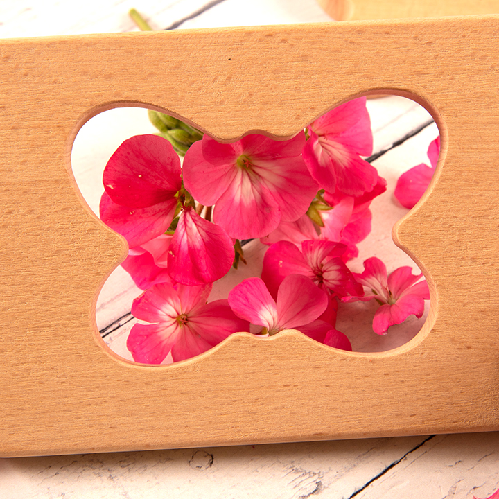 Butterfly wooden shape