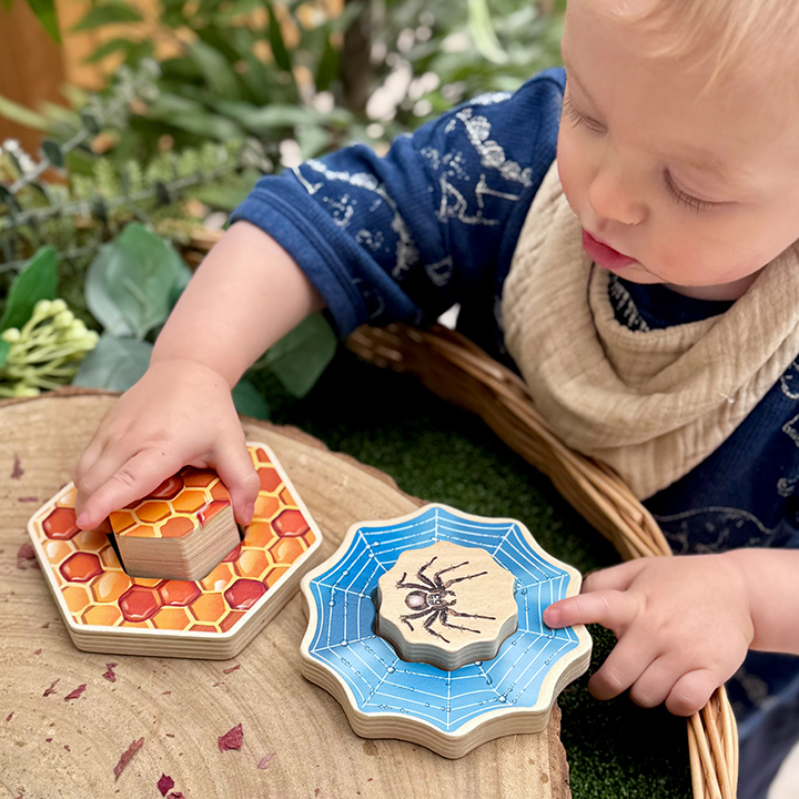 Bee and spider puzzle