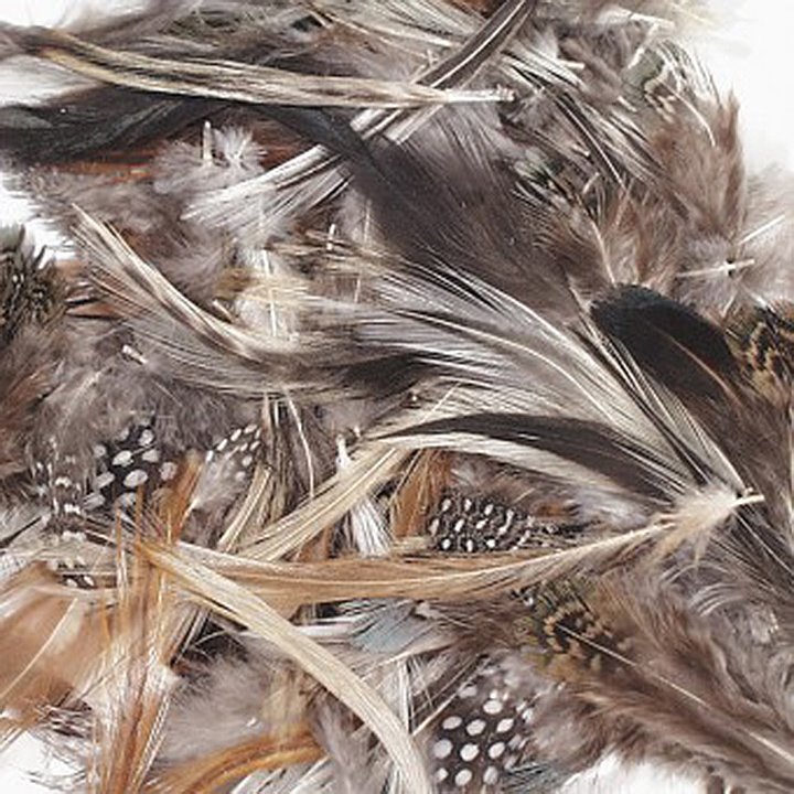 Close up of natural feathers with different patterns