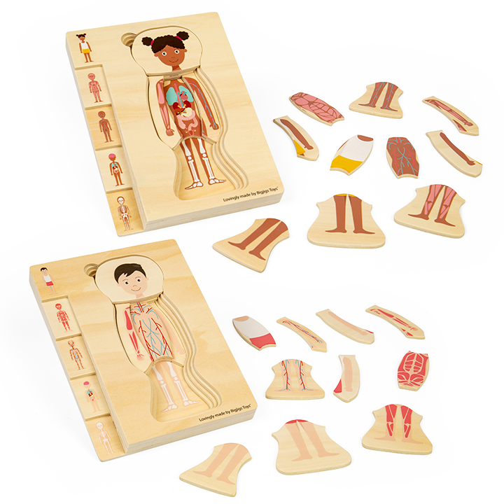 Male and Female body puzzle