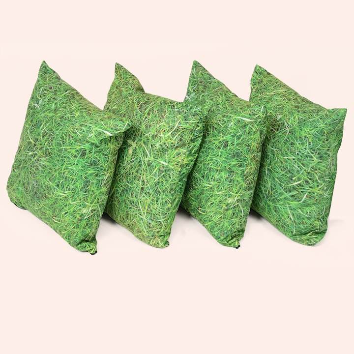 Set of 4 grass scatter cushions
