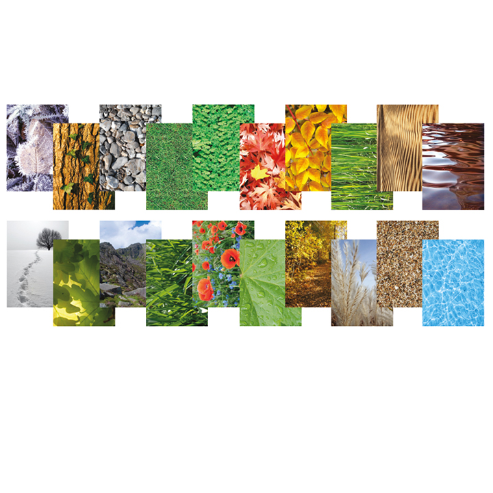 A4 paper sheets with nature images