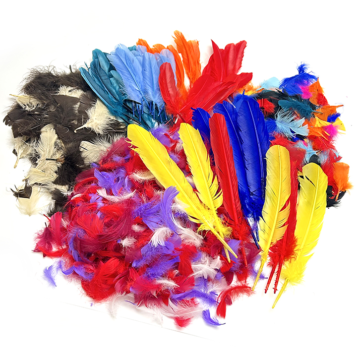 Large selection of feathers