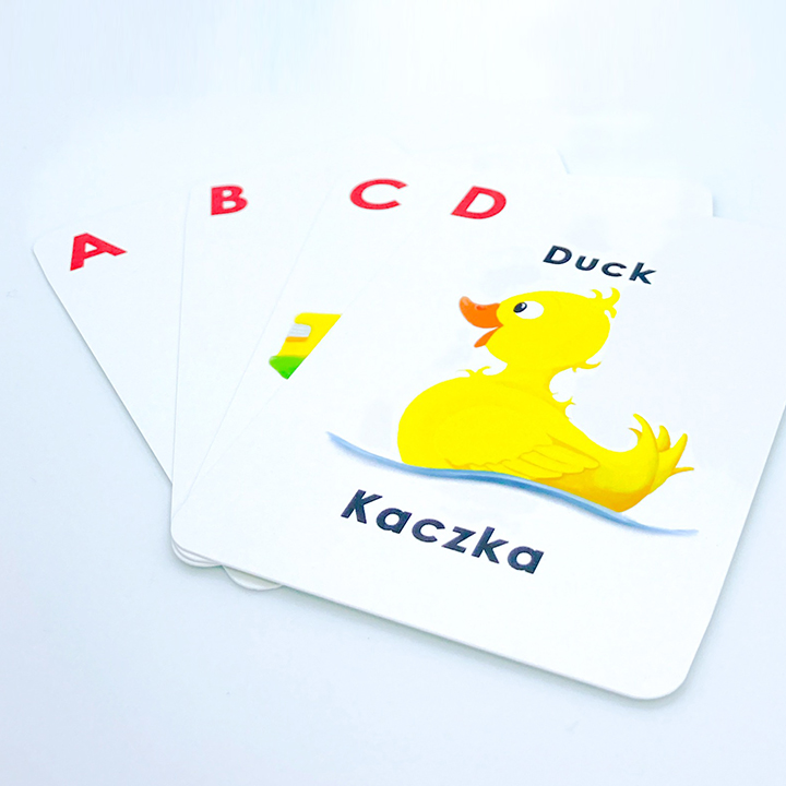 dino lingo arabic word flash cards dino lingo arabic word flash cards