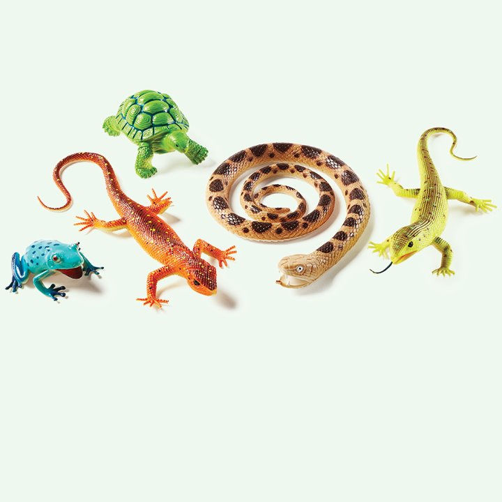 Set of plastic reptile toys