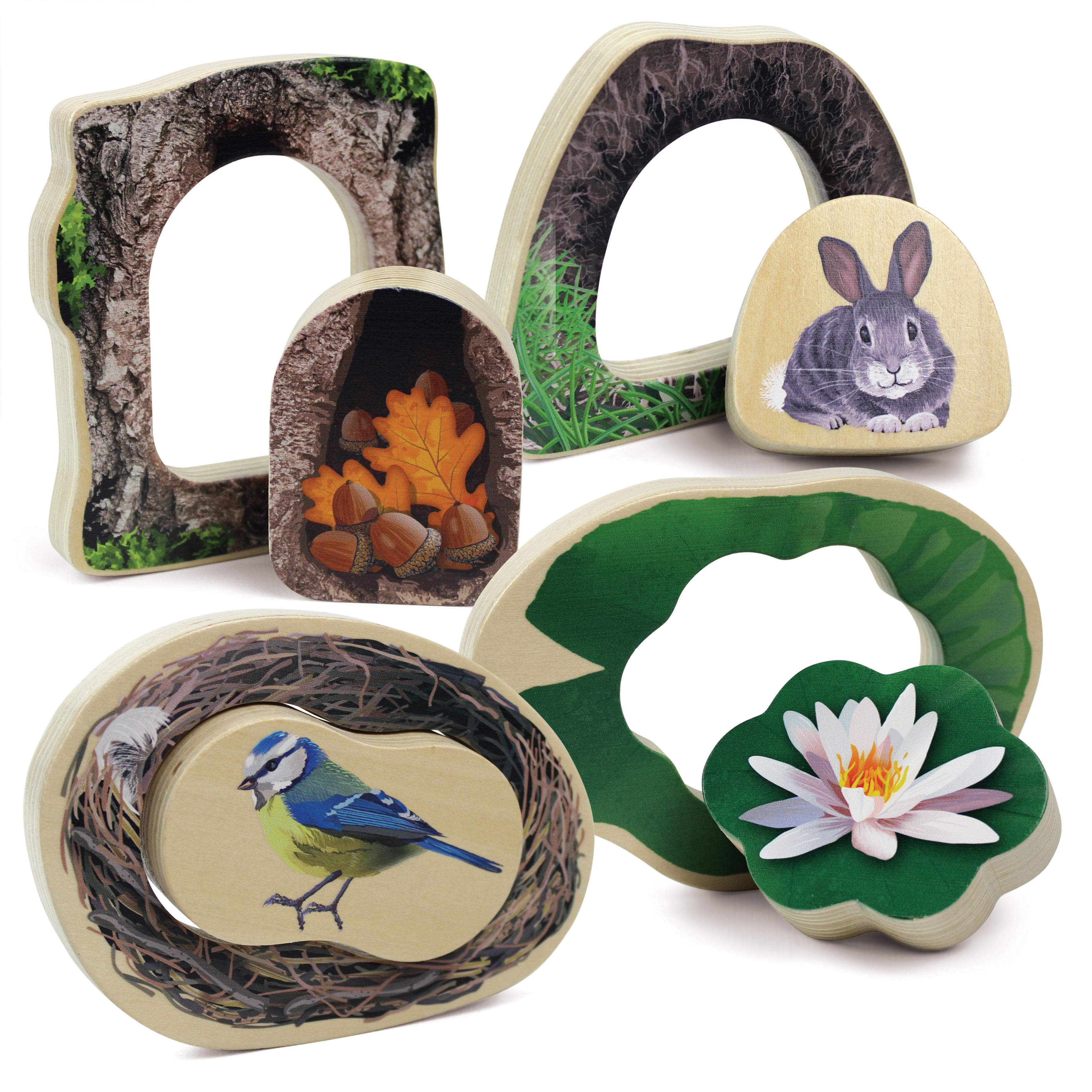 Four creatures and habitats to fit together