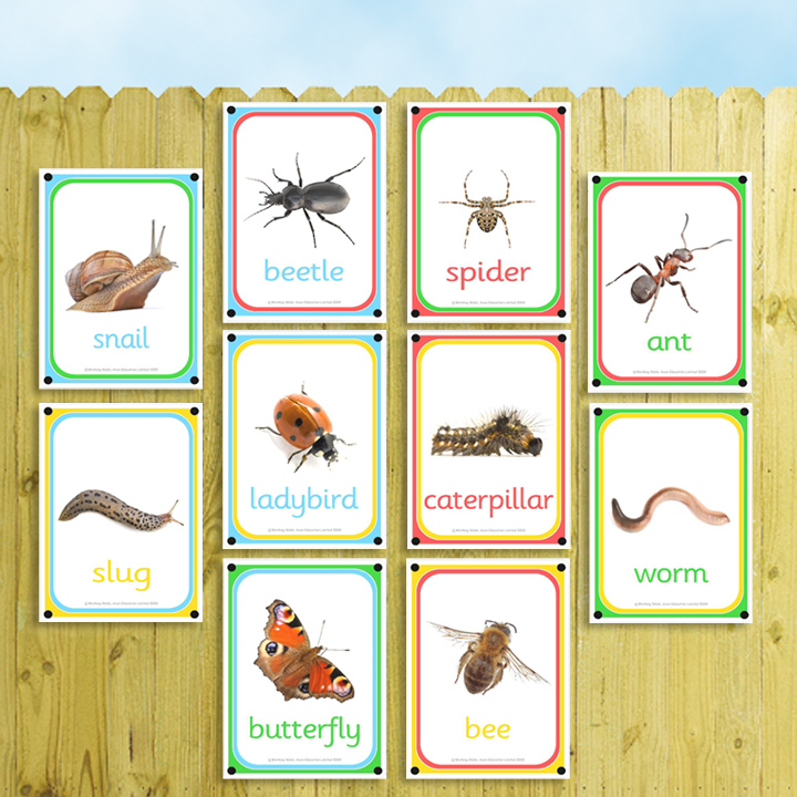 Educational Crawlies Bugs 12 Mini plastic Creepy Crawleys Insects Nature! 