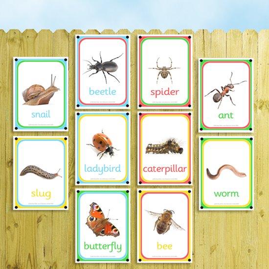 Set of 10 boards with bug and insect illustrations