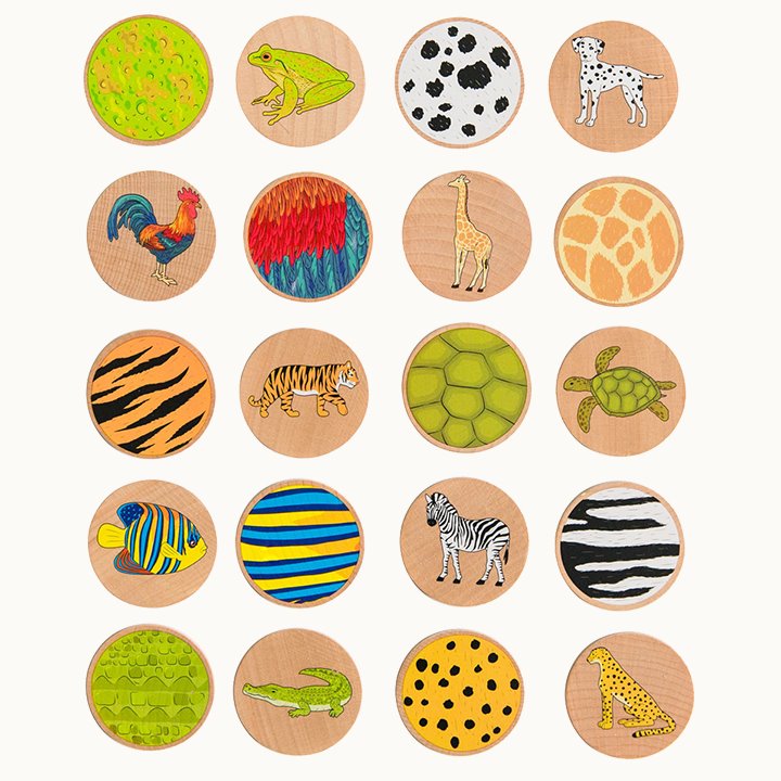 Animal Pattern Disc Who Am I? - Early Years Direct
