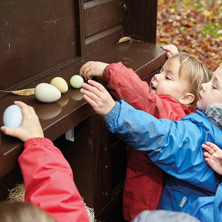 Children with sorting eggs develop comparison and sorting skills