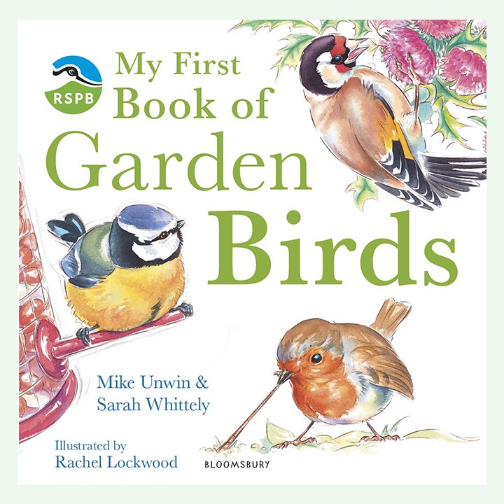 Birds Book for children