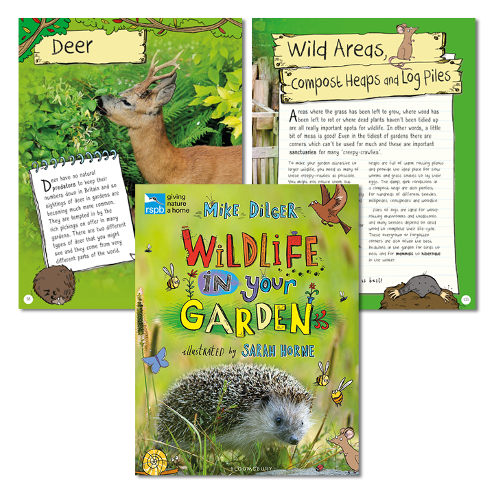 Wildlife in Your Garden picture book
