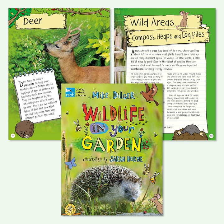 Wildlife in Your Garden picture book