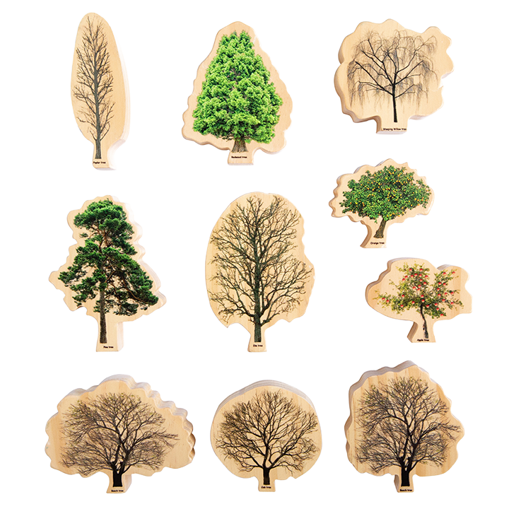 Ten double sided trees