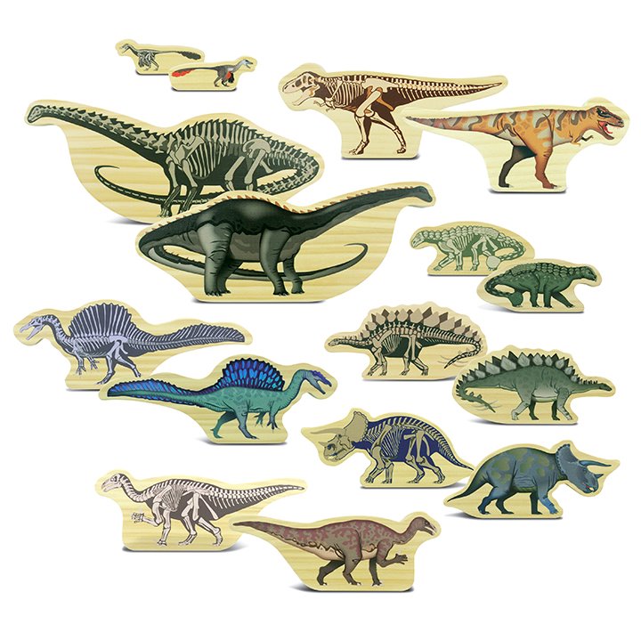8 double sided dinosaurs