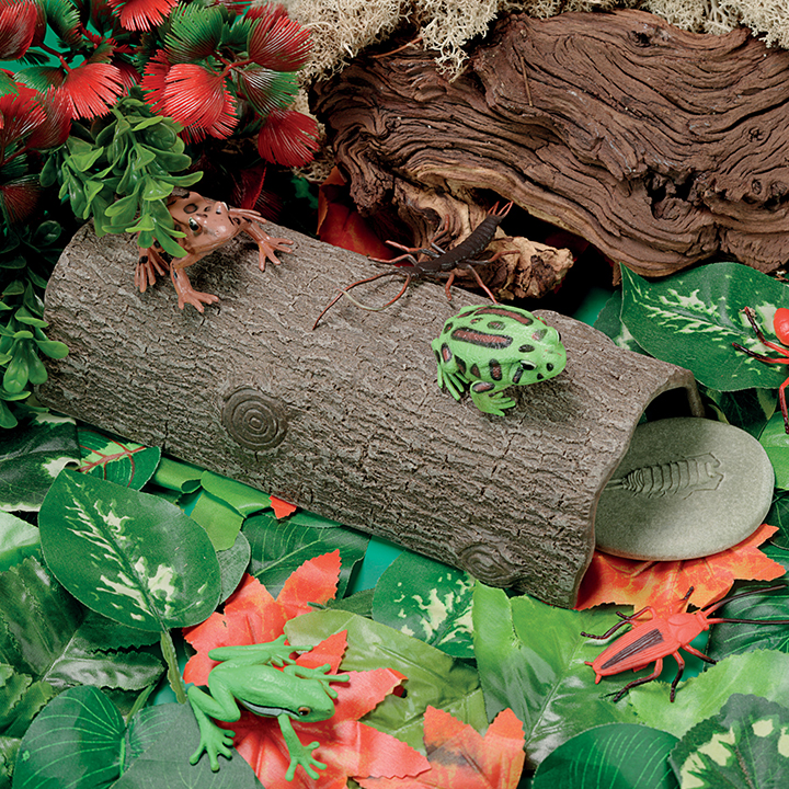 Hollow log in outdoor setting amongst greenery