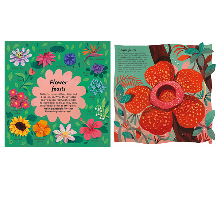 Spread from Colours of Nature book