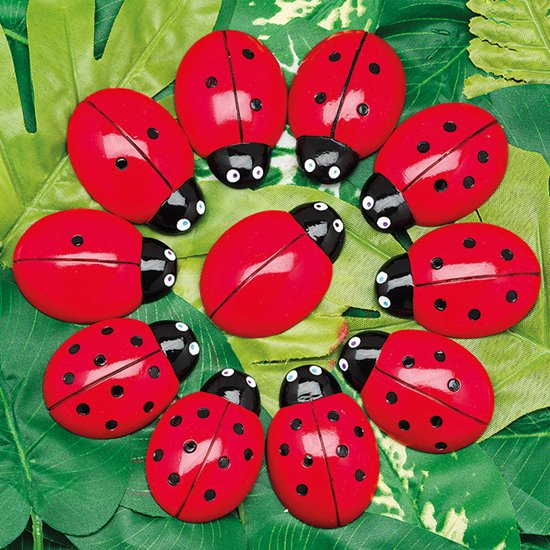 Set of ladybug counting stones