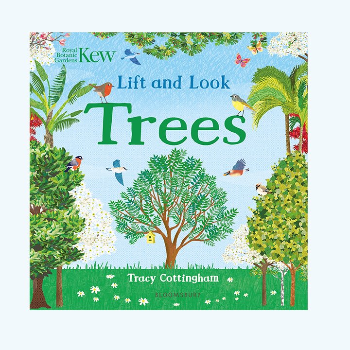 Lift and Look Nature Book Pack Trees